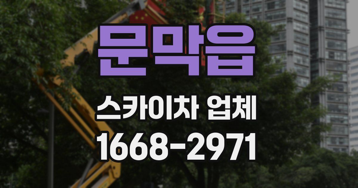 문막읍 스카이차 업체
