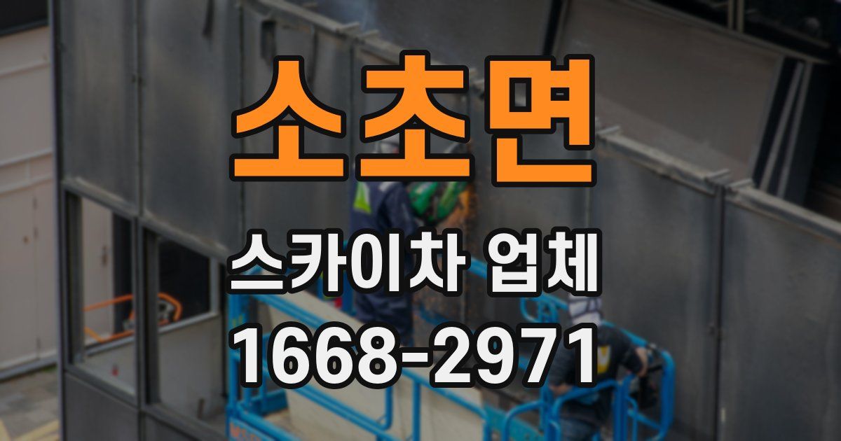 소초면 스카이차 업체