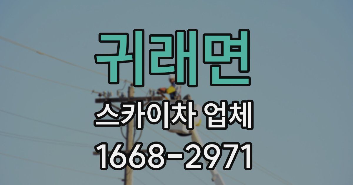 귀래면 스카이차 업체