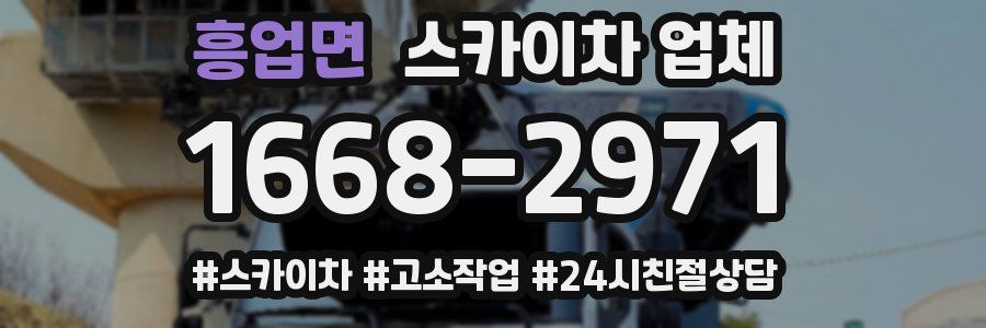 흥업면 스카이차 업체