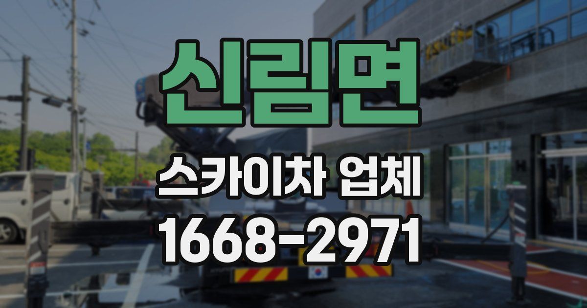 신림면 스카이차 업체