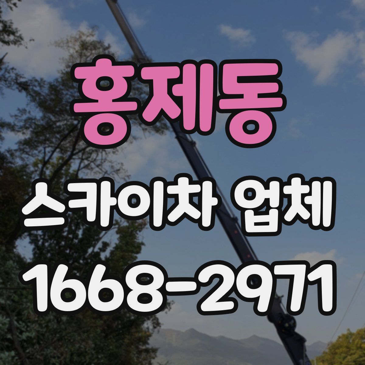 홍제동 스카이차 업체