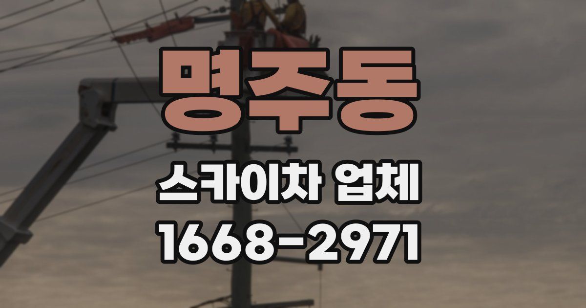 명주동 스카이차 업체