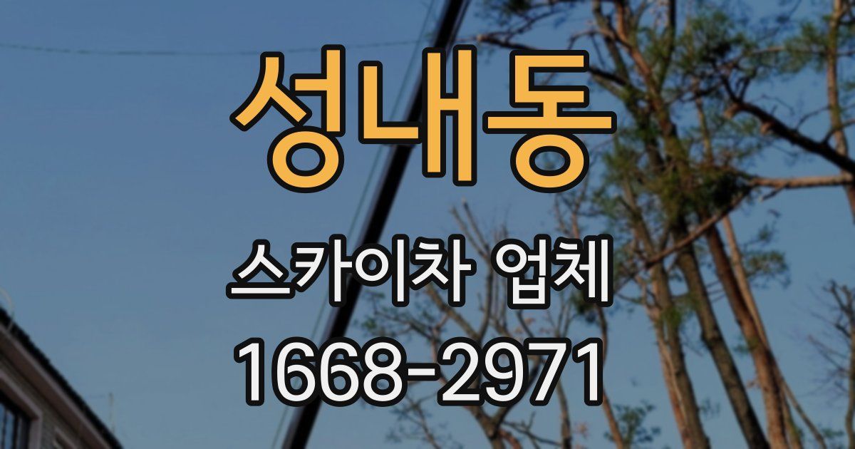 성내동 스카이차 업체