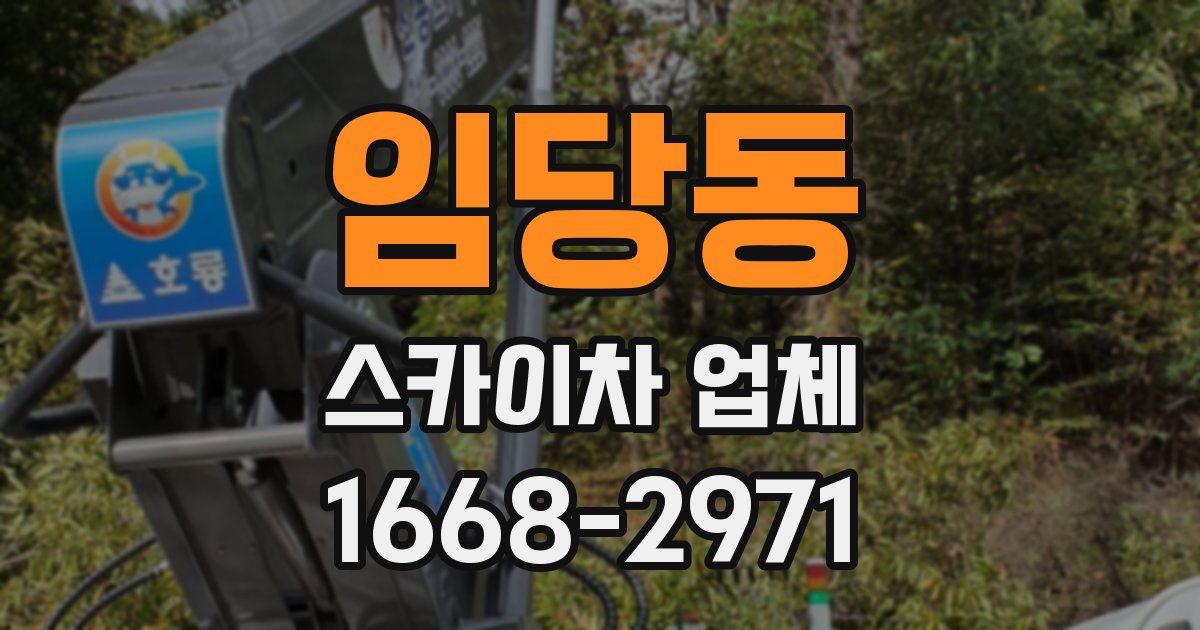 임당동 스카이차 업체