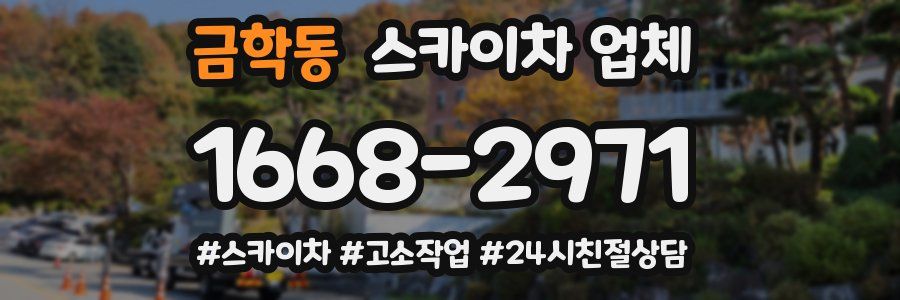 금학동 스카이차 업체