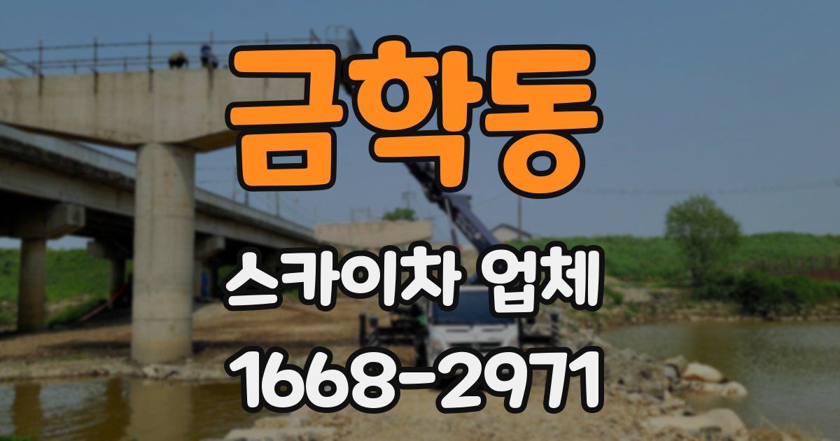 금학동 스카이차 업체