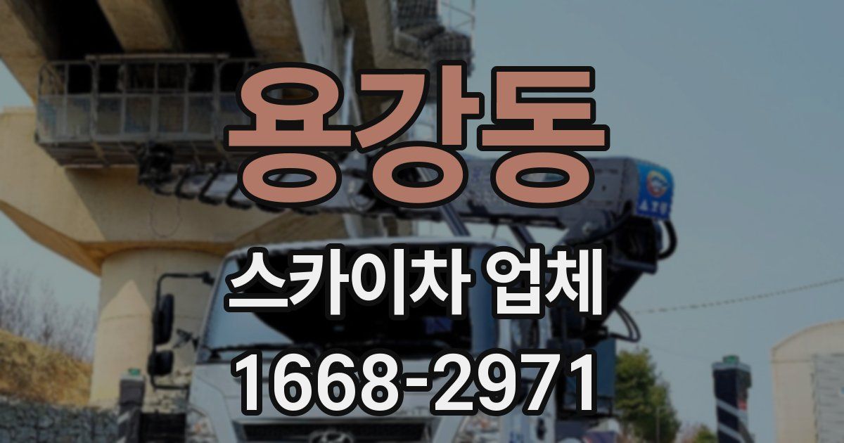 용강동 스카이차 업체