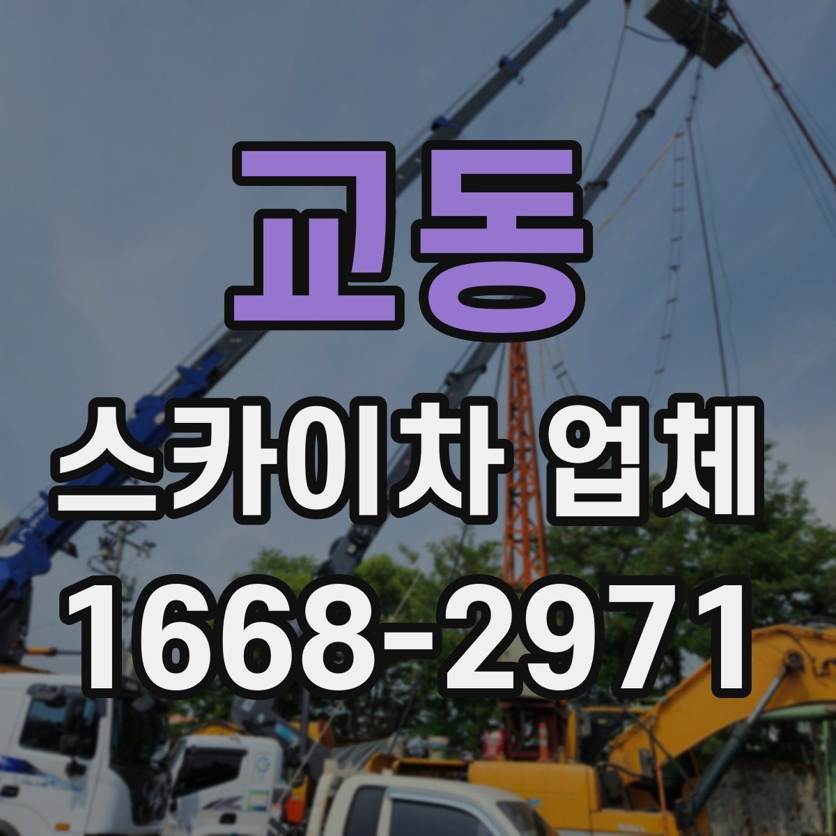 교동 스카이차 업체