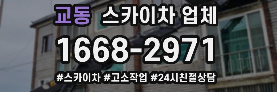 교동 스카이차 업체