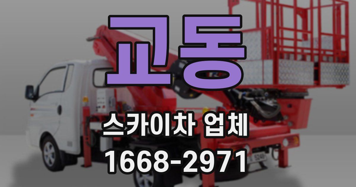 교동 스카이차 업체
