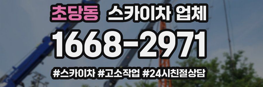 초당동 스카이차 업체