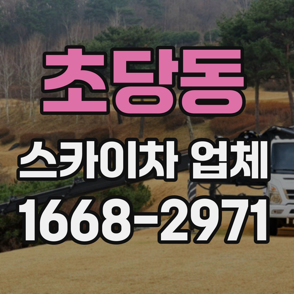 초당동 스카이차 업체