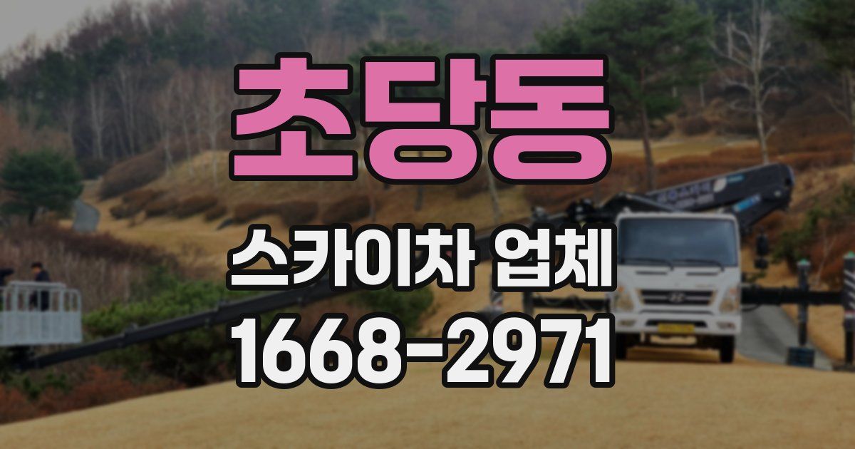 초당동 스카이차 업체