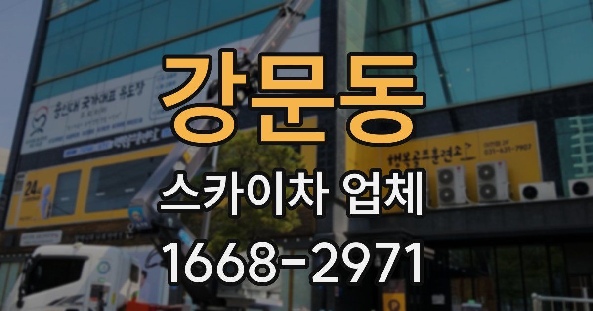 강문동 스카이차 업체