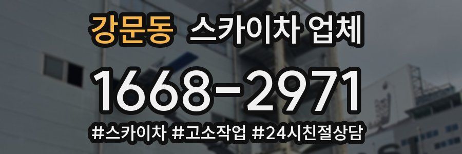 강문동 스카이차 업체