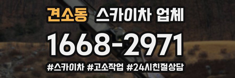 견소동 스카이차 업체