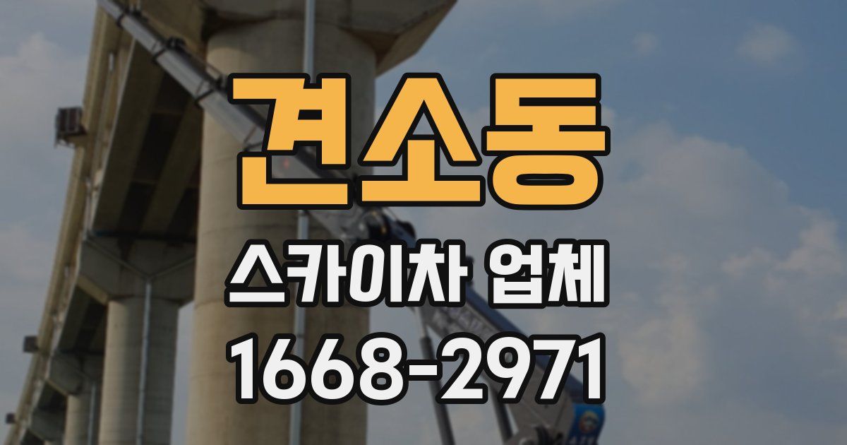 견소동 스카이차 업체