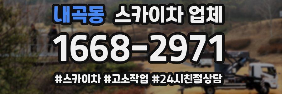 내곡동 스카이차 업체