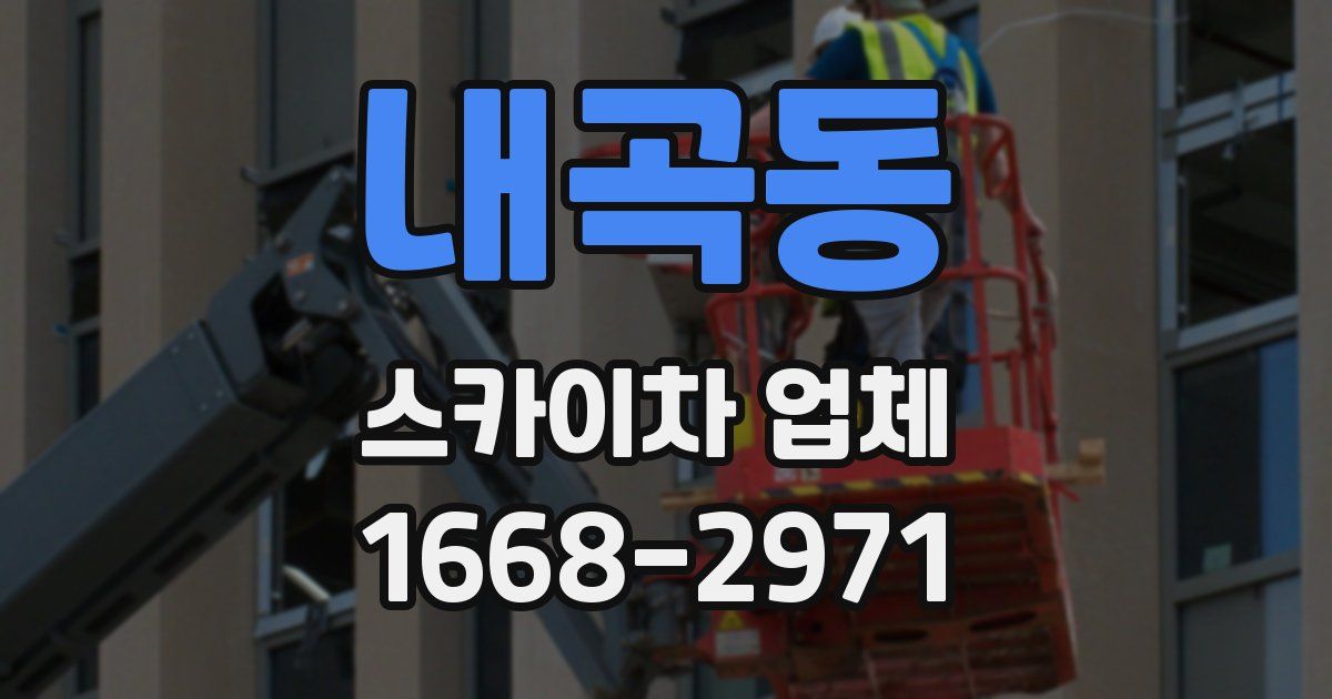 내곡동 스카이차 업체