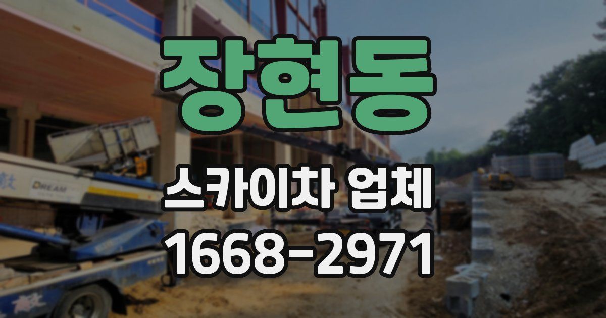 장현동 스카이차 업체