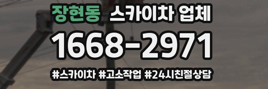 장현동 스카이차 업체