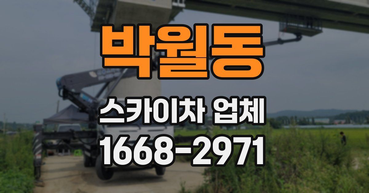 박월동 스카이차 업체