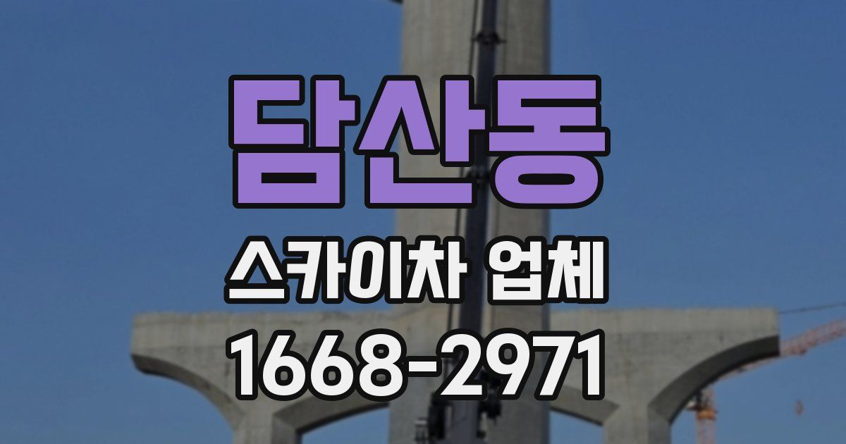 담산동 스카이차 업체