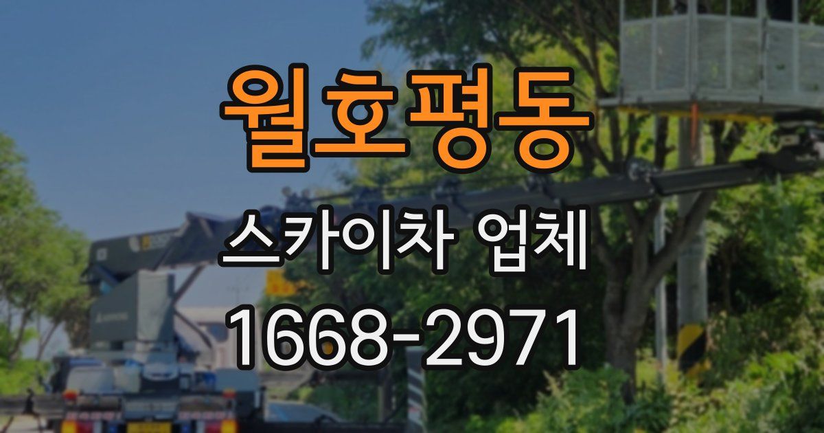 월호평동 스카이차 업체