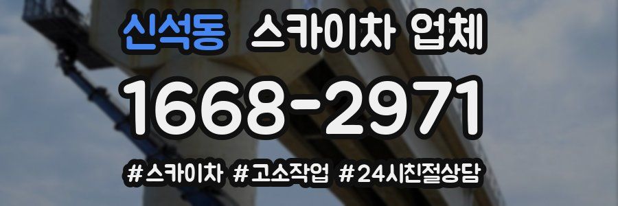 신석동 스카이차 업체