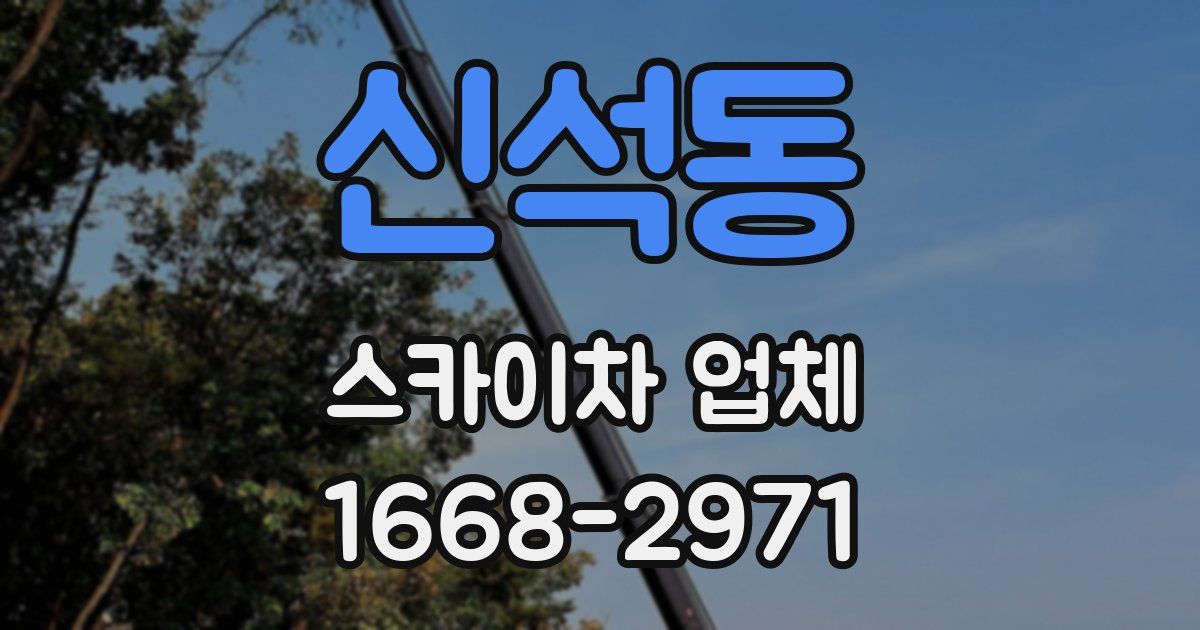 신석동 스카이차 업체