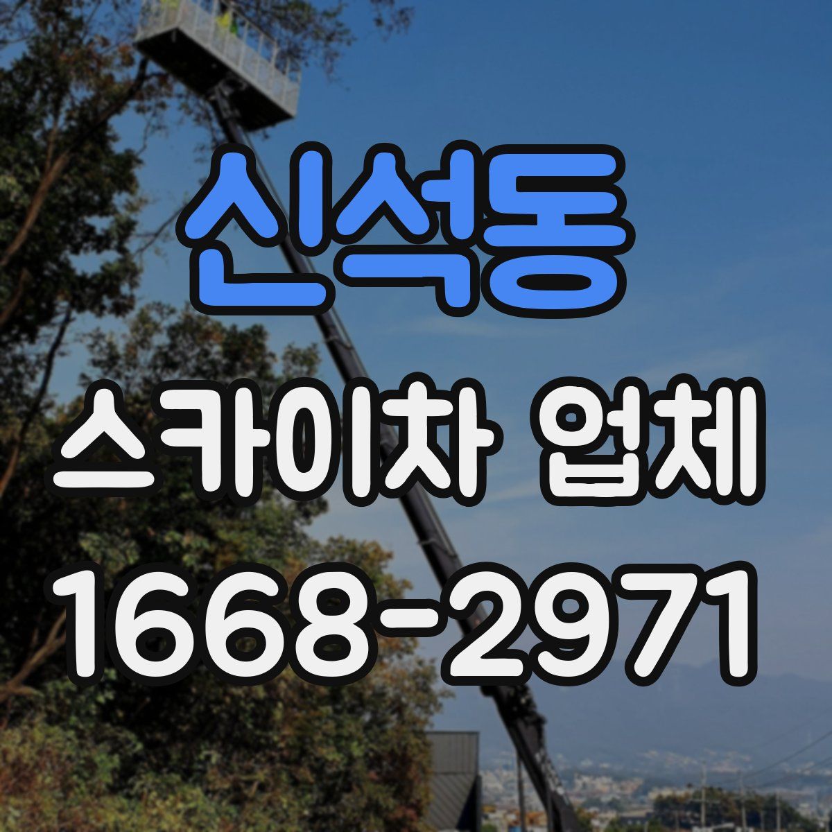 신석동 스카이차 업체