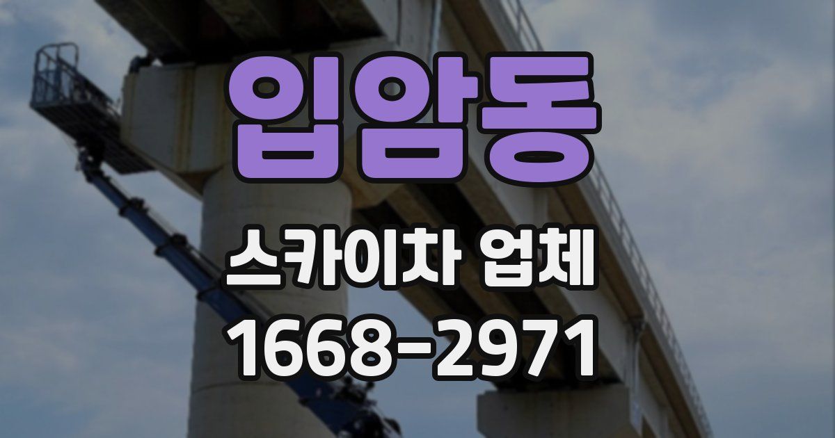 입암동 스카이차 업체