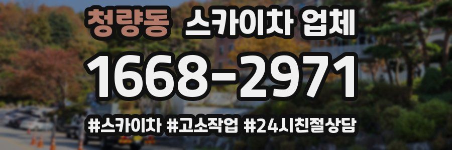 청량동 스카이차 업체