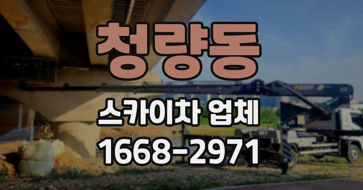 청량동 스카이차 업체