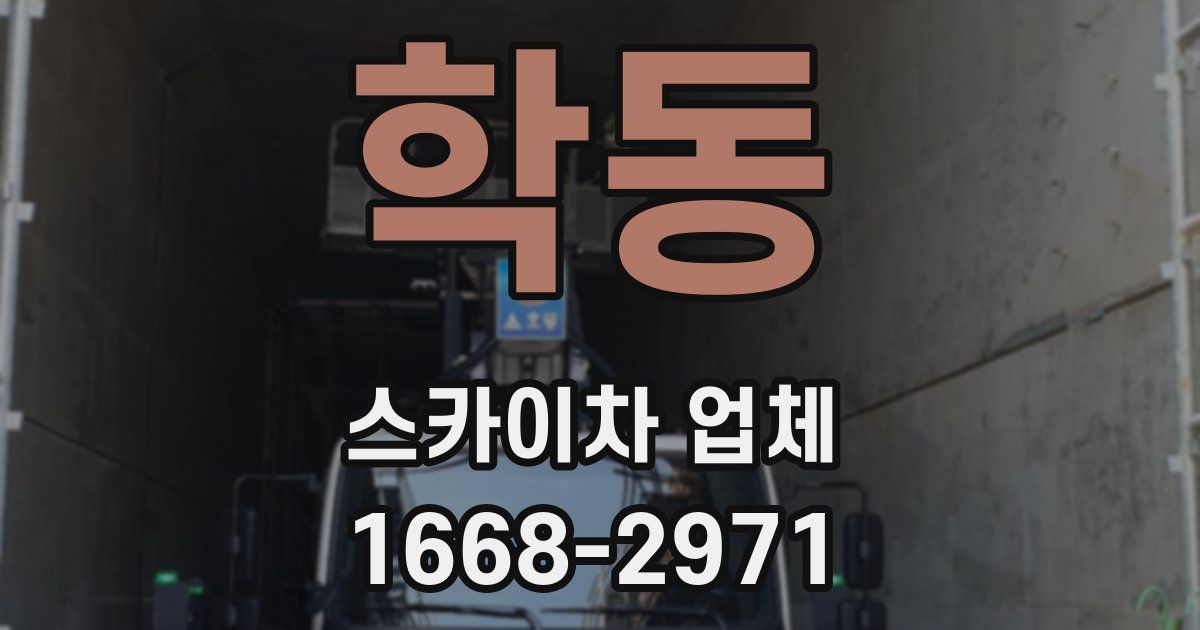 학동 스카이차 업체