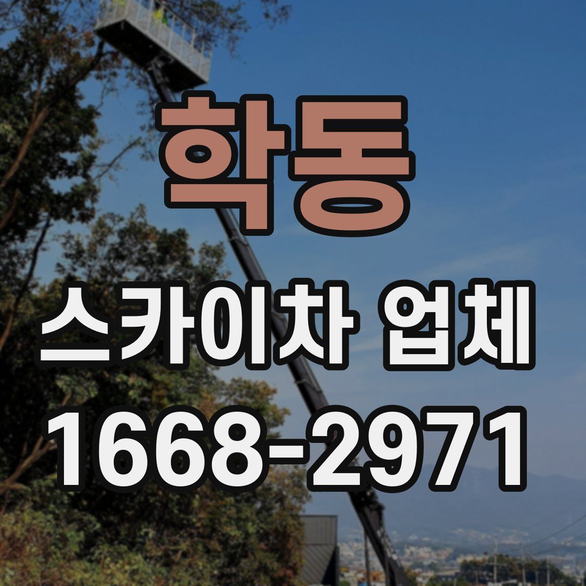 학동 스카이차 업체