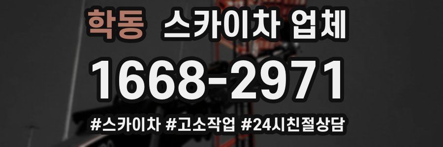 학동 스카이차 업체