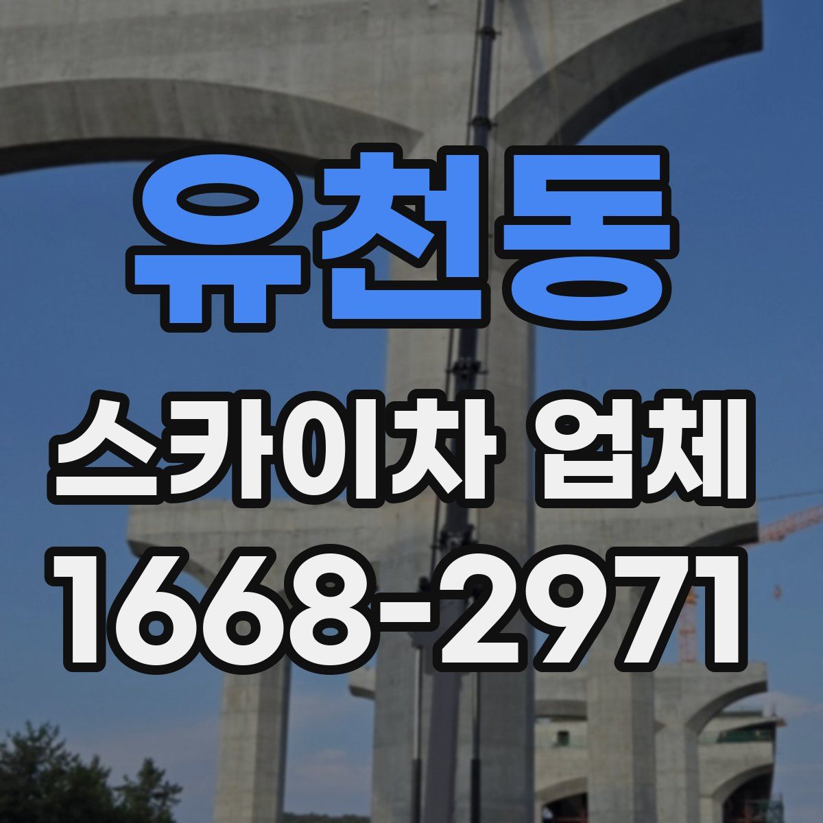 유천동 스카이차 업체