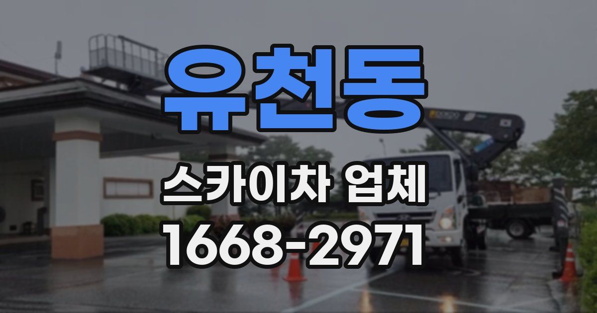 유천동 스카이차 업체