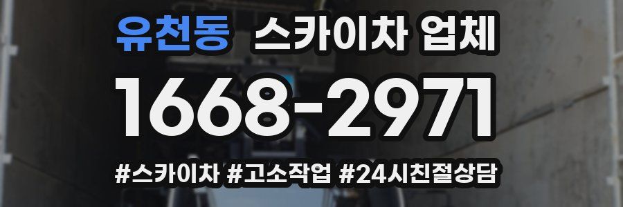 유천동 스카이차 업체
