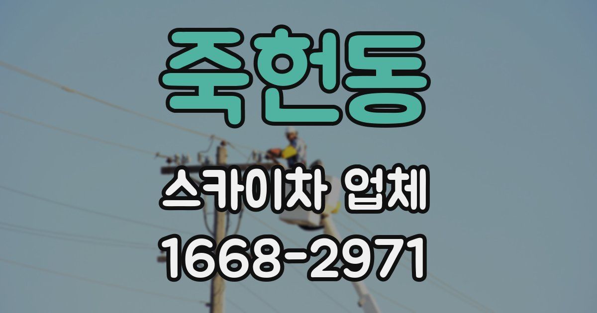 죽헌동 스카이차 업체