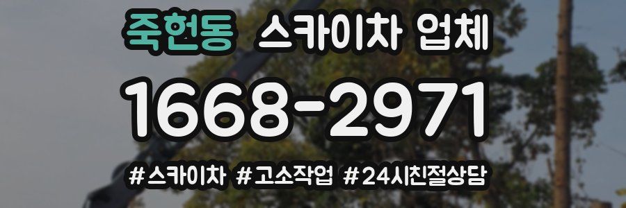 죽헌동 스카이차 업체