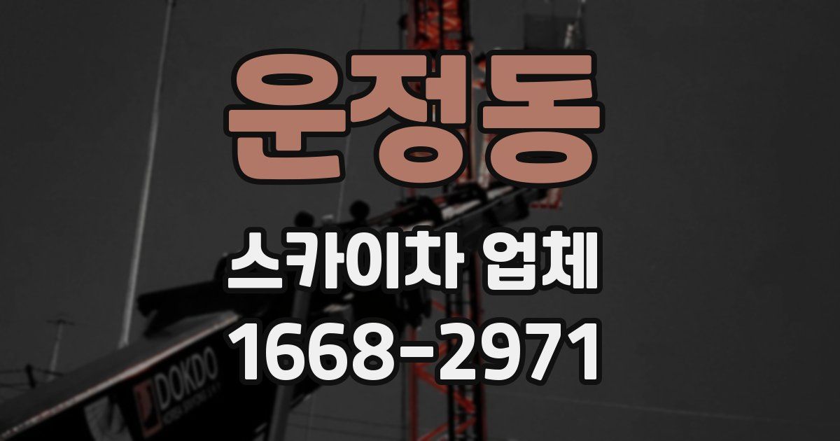 운정동 스카이차 업체