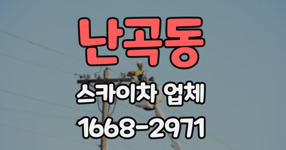 난곡동 스카이차 업체