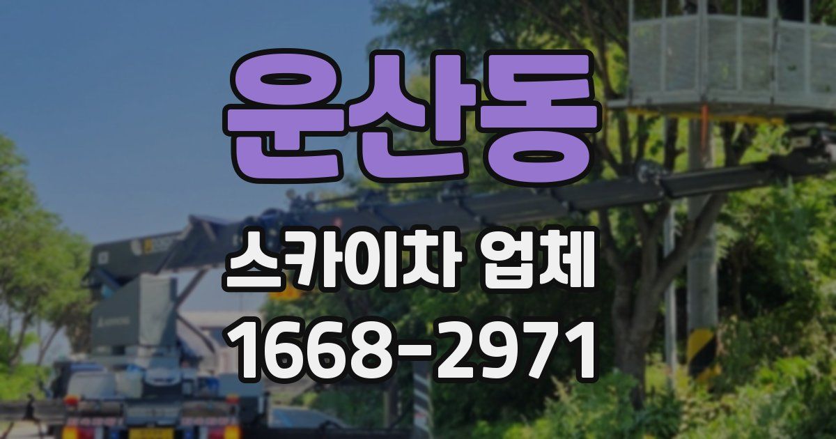 운산동 스카이차 업체
