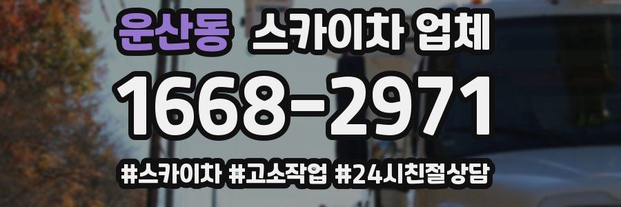 운산동 스카이차 업체