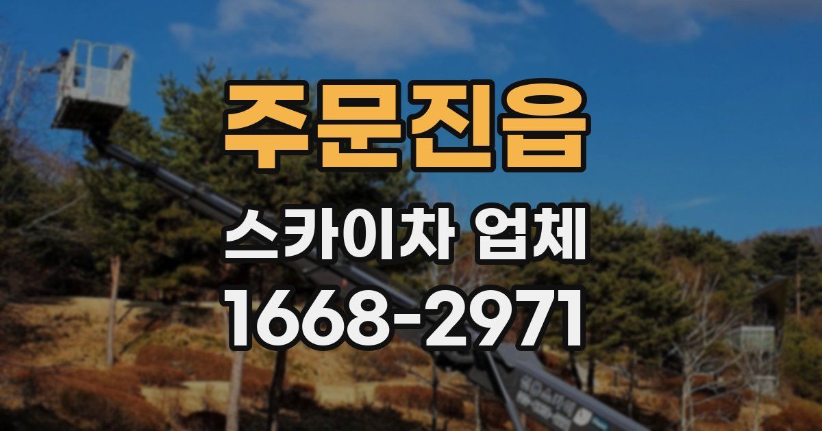 주문진읍 스카이차 업체