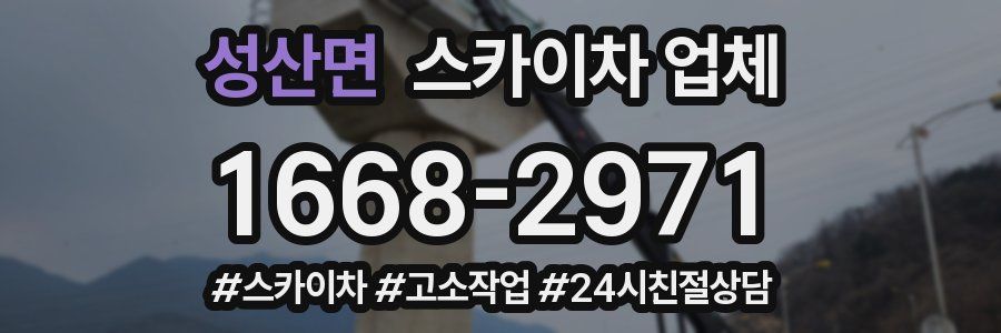 성산면 스카이차 업체