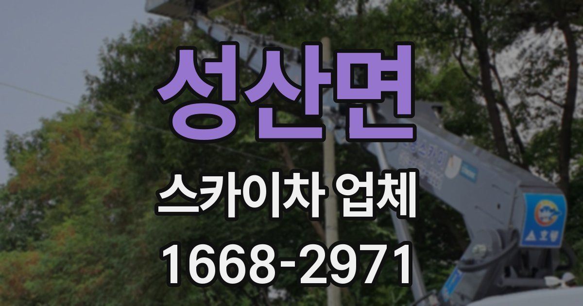 성산면 스카이차 업체